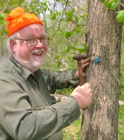 Tree Survey Tree Replacement Plan